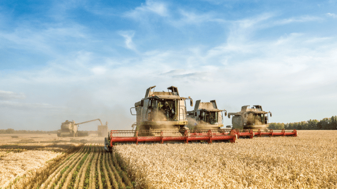 Farm News  10/8 a 16/8